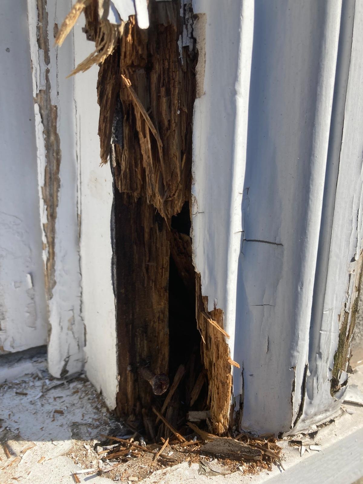 Close-up of a sash box frame rotted through, with an old nail exposed