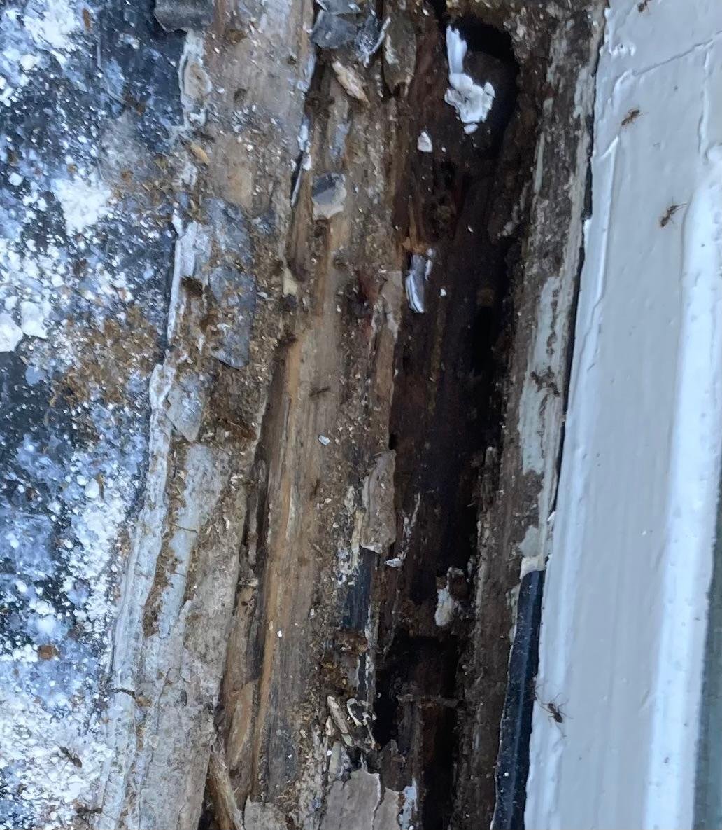 Rotten timber exposed deep inside the window sill joint